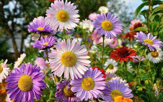 539842 (a): :2560x1600